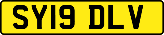 SY19DLV