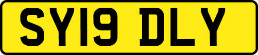SY19DLY