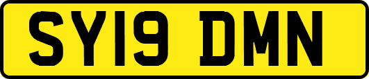 SY19DMN