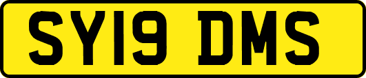 SY19DMS