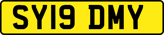 SY19DMY