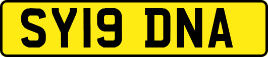 SY19DNA