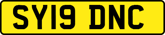 SY19DNC