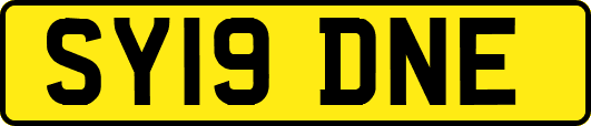SY19DNE