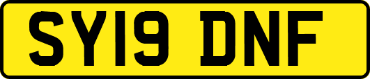 SY19DNF