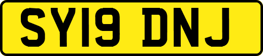 SY19DNJ