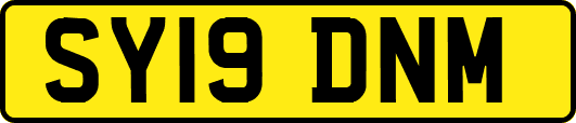 SY19DNM
