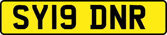 SY19DNR