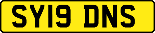 SY19DNS