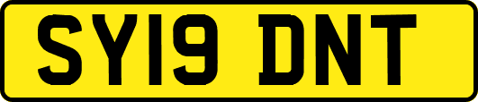 SY19DNT