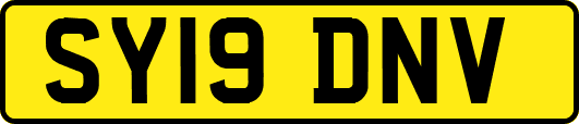 SY19DNV