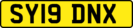 SY19DNX