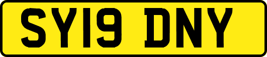 SY19DNY