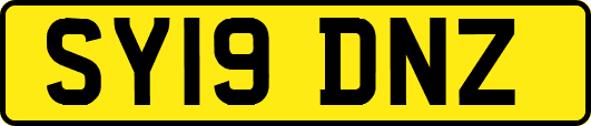 SY19DNZ