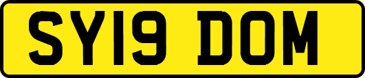 SY19DOM