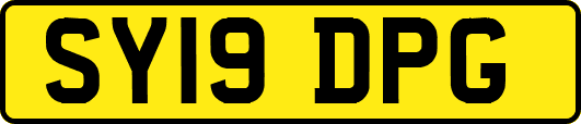 SY19DPG