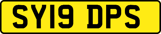 SY19DPS