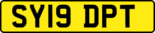 SY19DPT