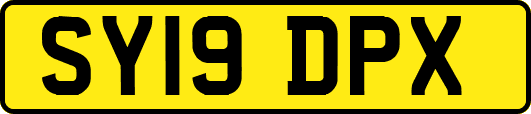 SY19DPX