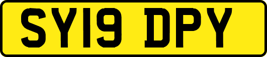 SY19DPY