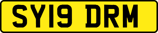 SY19DRM