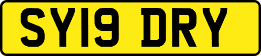 SY19DRY