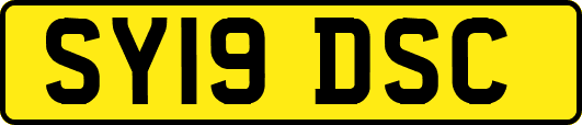 SY19DSC