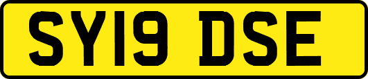 SY19DSE