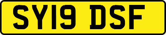 SY19DSF