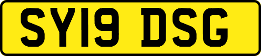 SY19DSG