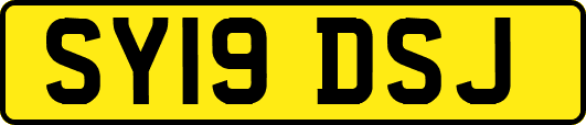 SY19DSJ