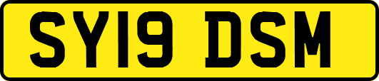 SY19DSM