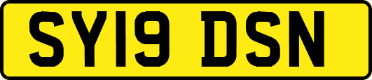 SY19DSN