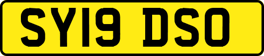 SY19DSO