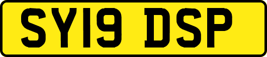 SY19DSP