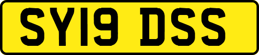 SY19DSS
