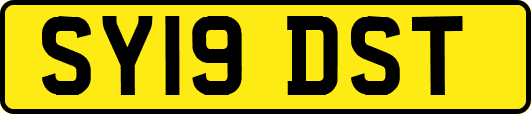 SY19DST