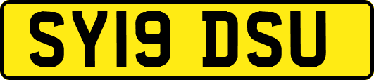 SY19DSU