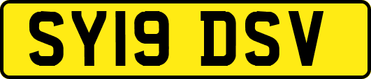 SY19DSV
