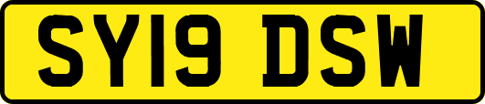 SY19DSW