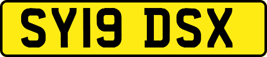 SY19DSX