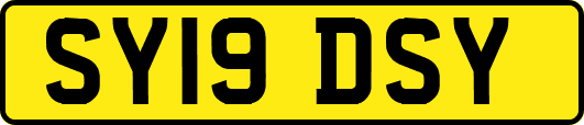SY19DSY
