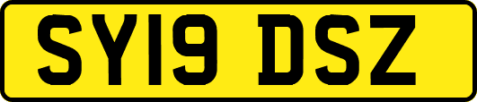 SY19DSZ