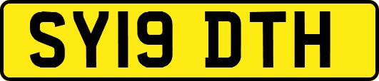 SY19DTH