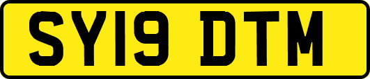 SY19DTM