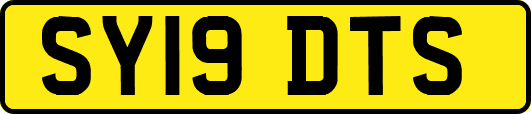 SY19DTS