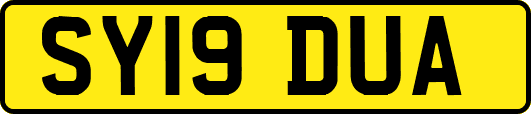 SY19DUA