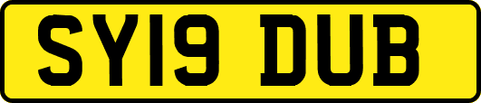 SY19DUB