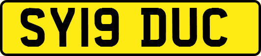 SY19DUC