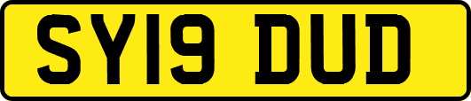 SY19DUD